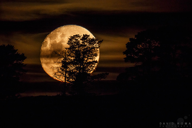 Bad Moon Rising - Bathurst, NSW, Australia