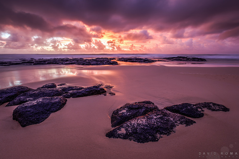 Magenta Dreams - Kingscliff, NSW, Australia