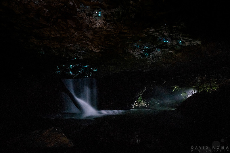 Waterfall by worm light - Natural Bridge, Springbrook, Gold Coast, Australia