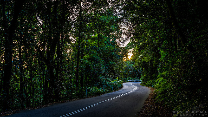 The road from Mt. Irvine