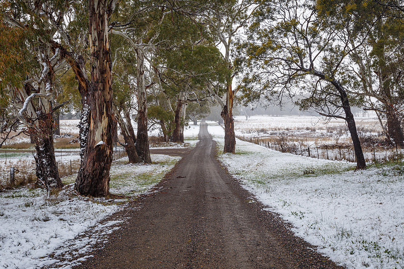 Snow on a road in Spring Hill