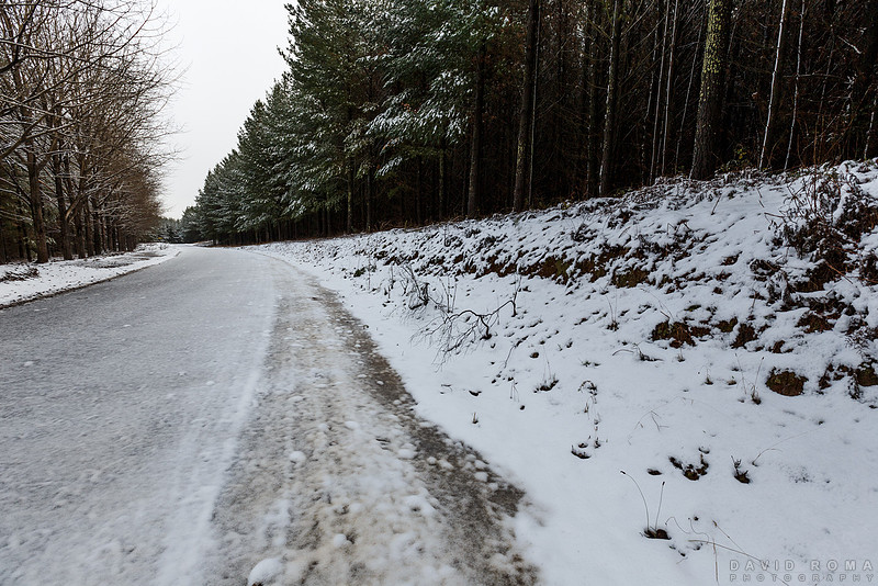Snowy beside road Mt. Canobolas