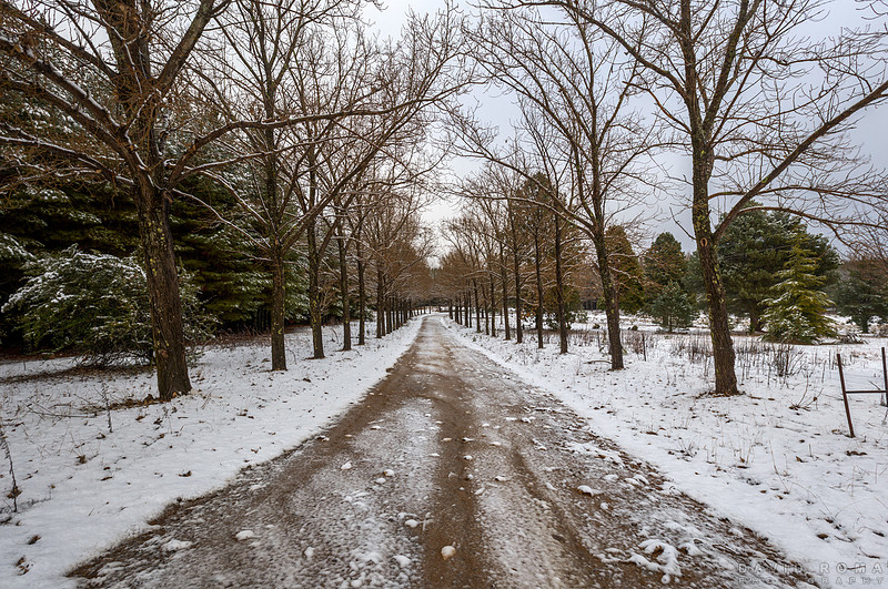 Snowy dirt road Mt. Canobolas