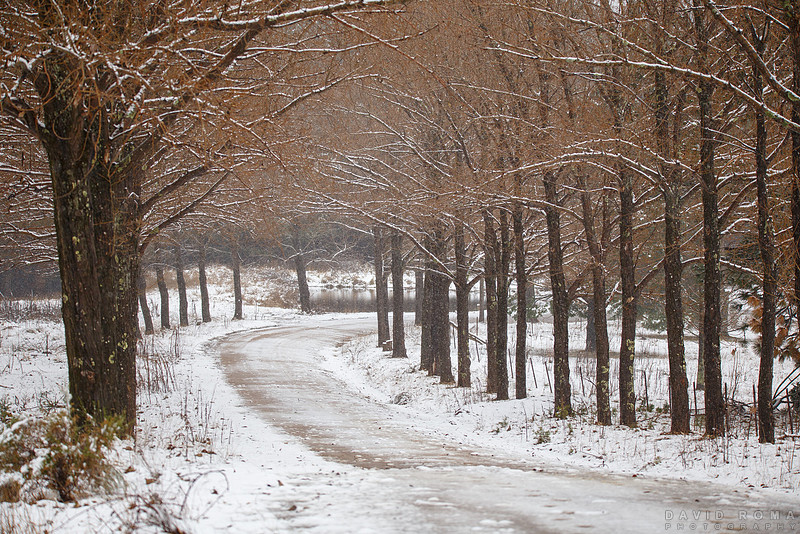 Snow avenue