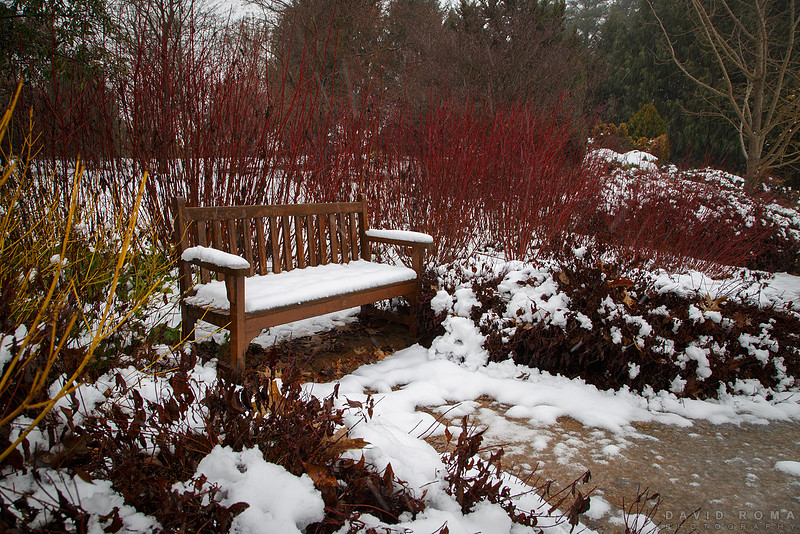 Snow chair- Botanic Gardens