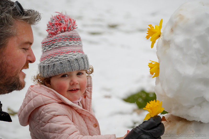 Lets build a snowman