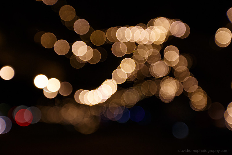 Fairy lights in the trees