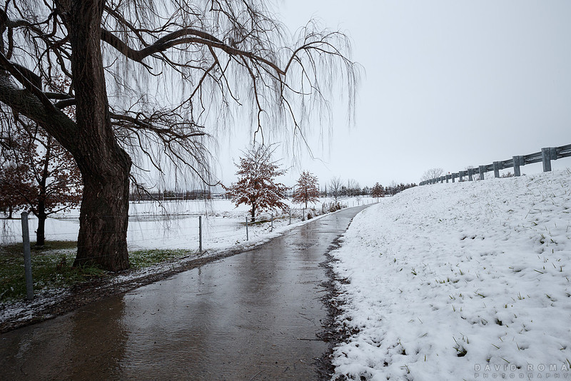 Follow the path to snow