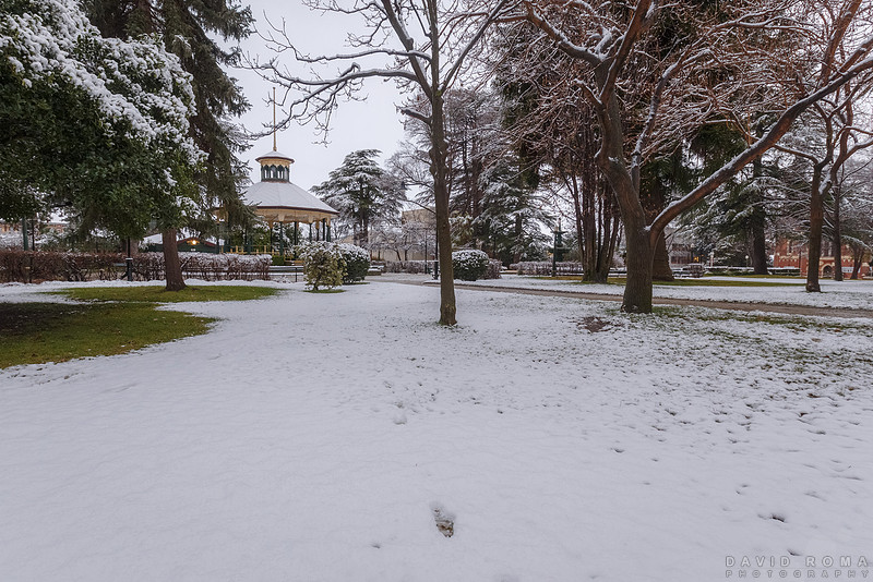 Pretty thick snow in Machattie Park
