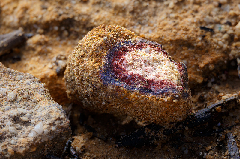 Rainbow Rock