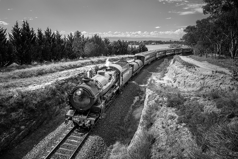 Locomotive 3642 under wimbleton bridge bw