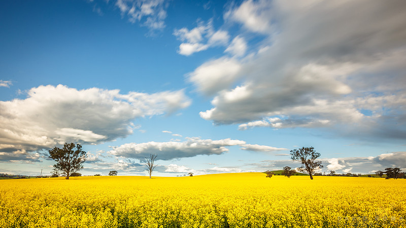 Shifting Skies - Cowra, NSW, Australia
