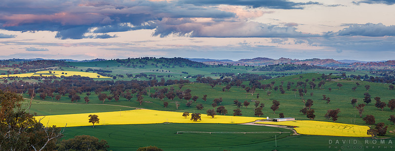 Panorama from Bellevue Hill Lookout - Cowra, NSW, Australia
