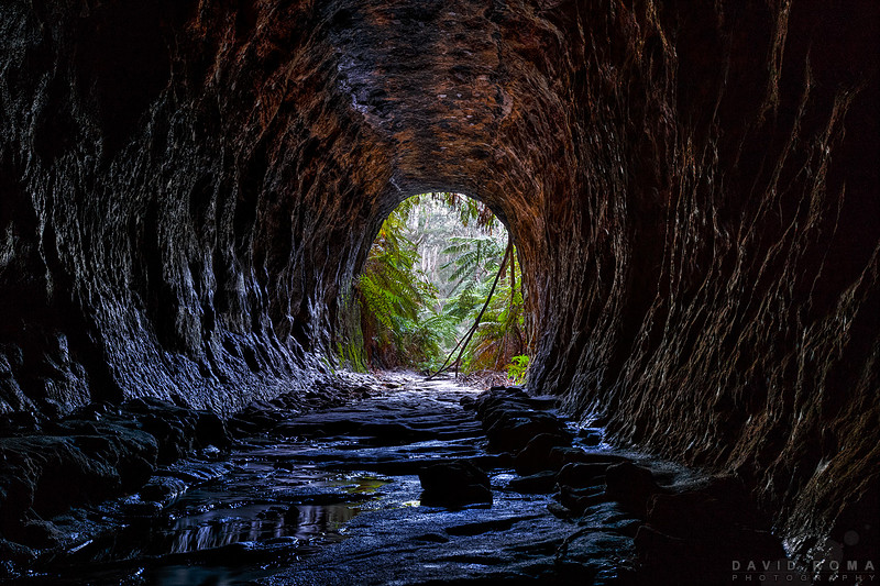 Glow worm tunnel - Gardens of stone NP, NSW, Australia