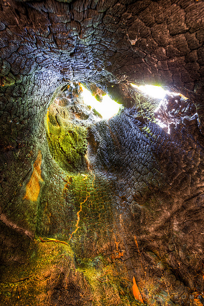 David Roma Photography | Abstracted