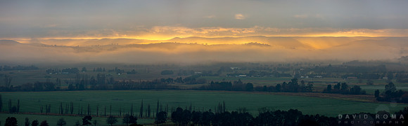 Golden Light