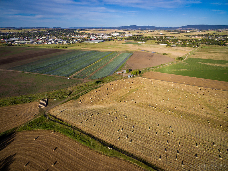 textured fields
