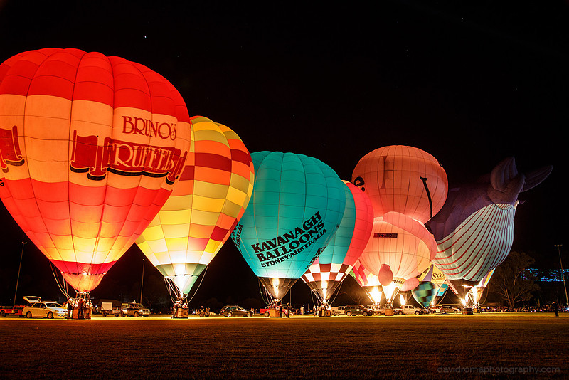 Balloon Glow whale