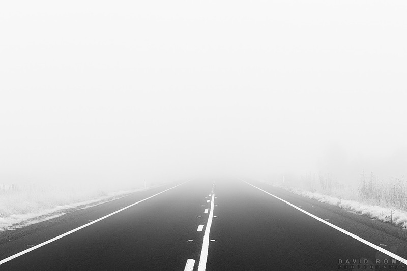 In to the Fog