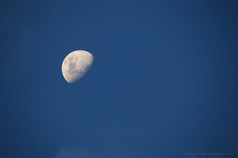 Sigma 150-600mm Moon test shot