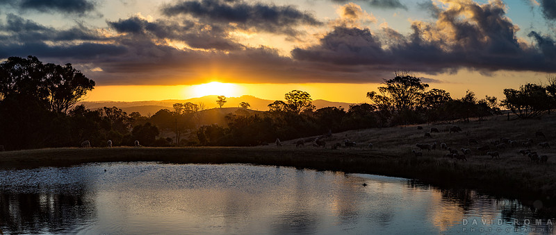 Sunset at Rockley Mount