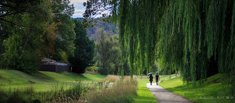 Cooma Love