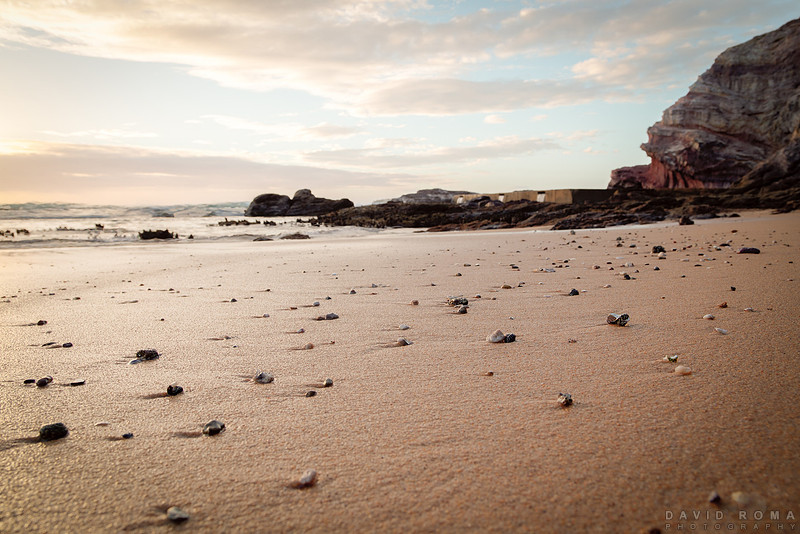 -David Roma-IMG_1860_blended
