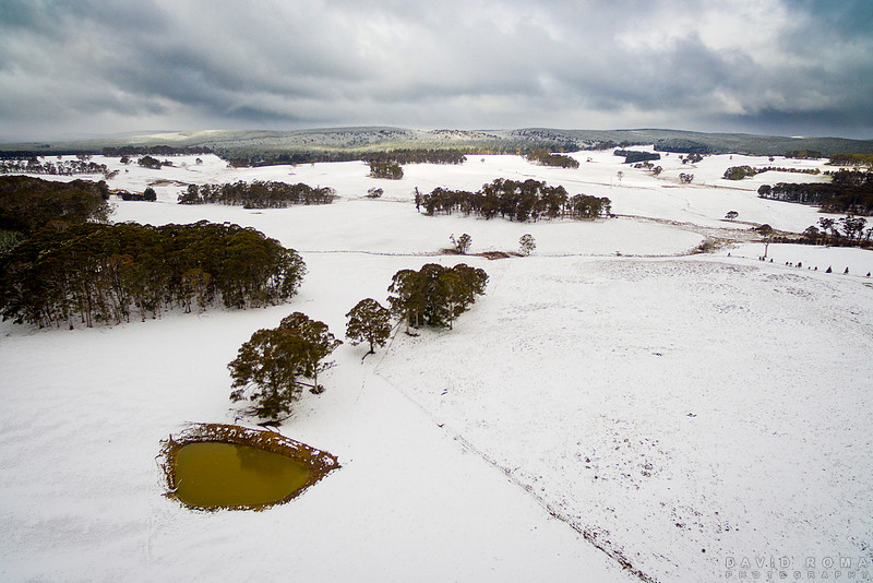 Dam Snow
