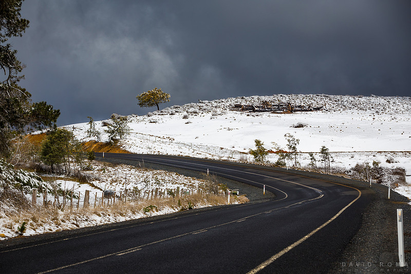 Dark Snow