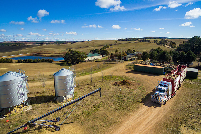 Farm Life