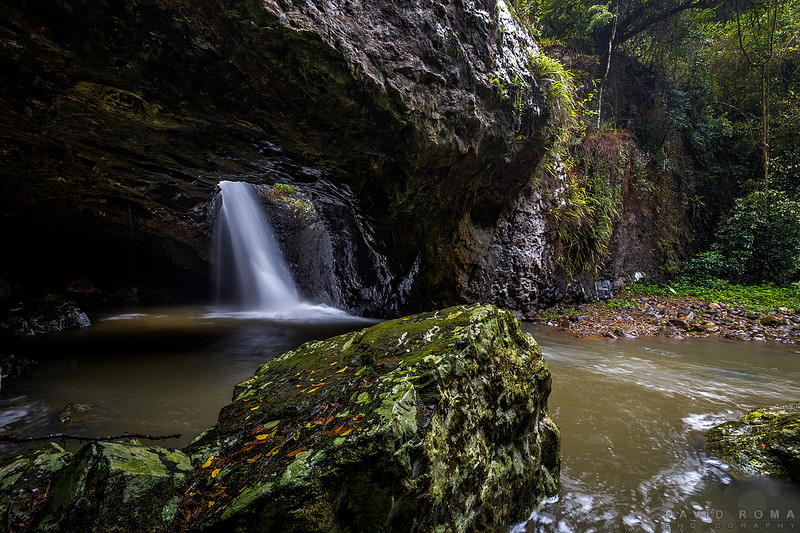 Natural Bridge -
Springbrook National Park, Gold Coast, QLD, Australia