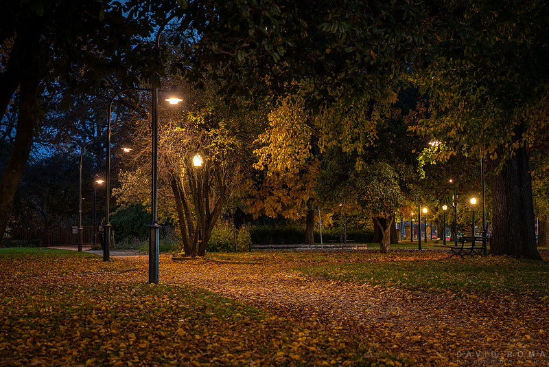 David Roma Photography | Blog