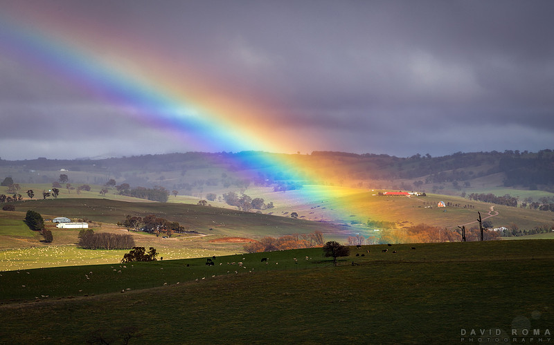 Chasing Rainbows