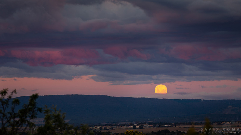Pink Moon Rise