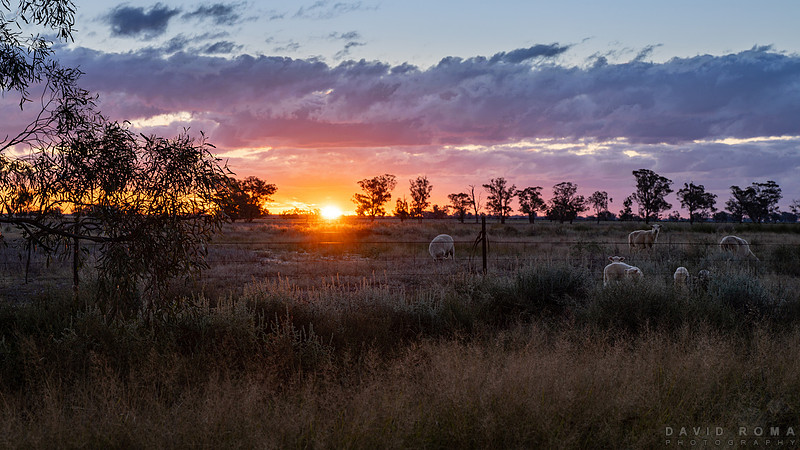 Sunset on the Newell