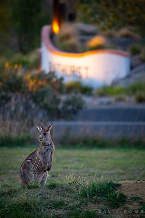 Bathurst Australia