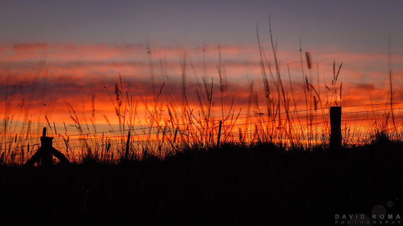 Pause and appreciate simple beauty - OConnell, NSW, Australia