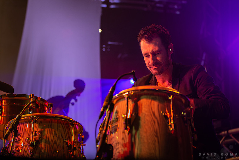 Inland sea of Sound 2018 cat empire bongo