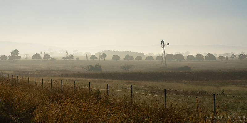 Morning Haze
