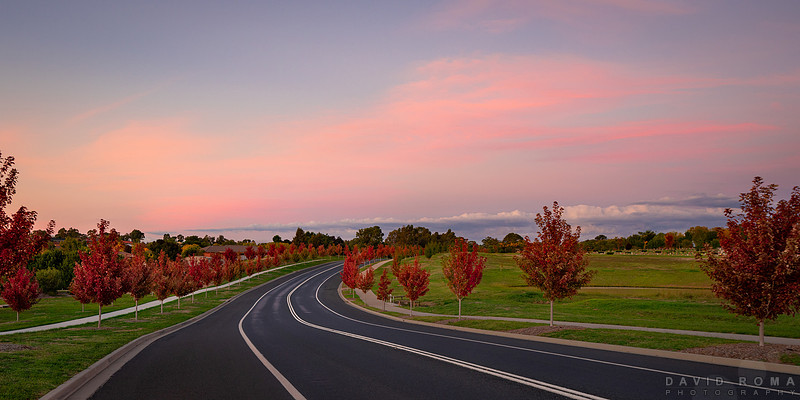 Autumn Skies