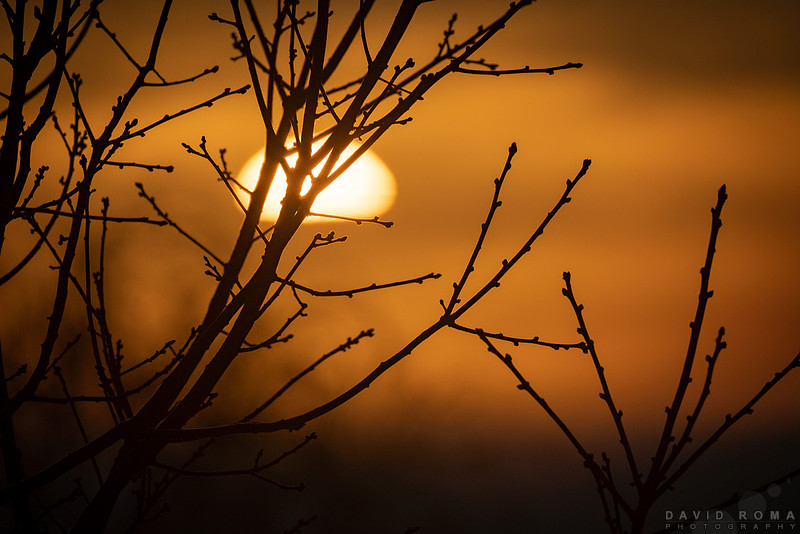 Artistic Sun