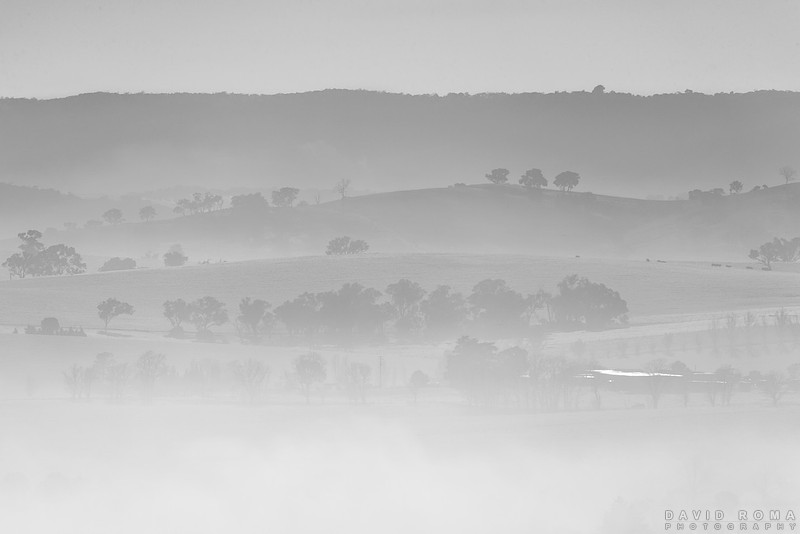 Foggy Winter Mornings