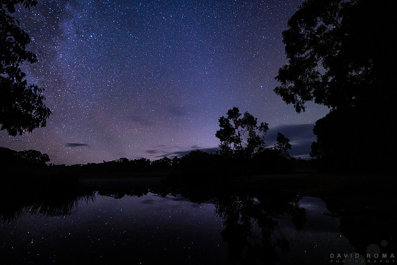 Dunns Swamp Stars