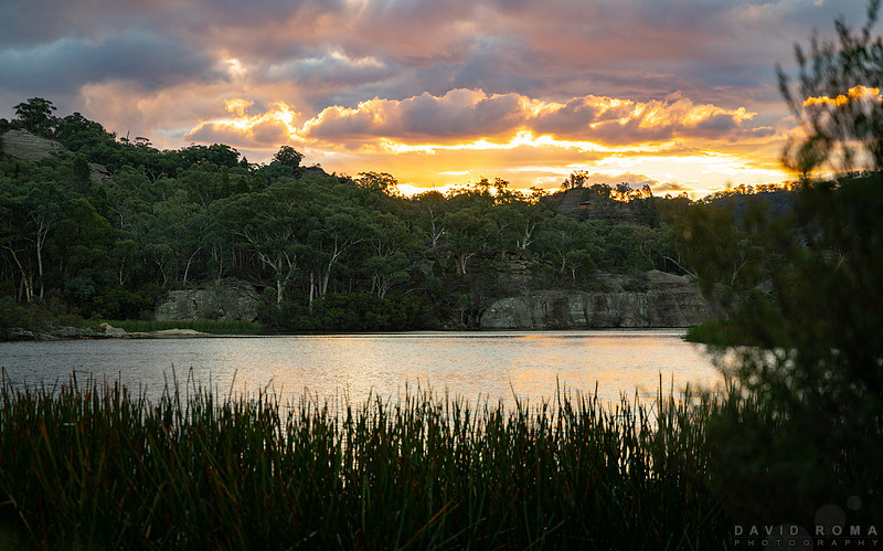 Sunrise at Dunns Swamp