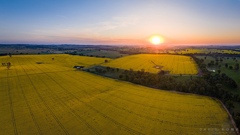 Golden Sunset