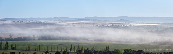 Foggy Spring Mornings