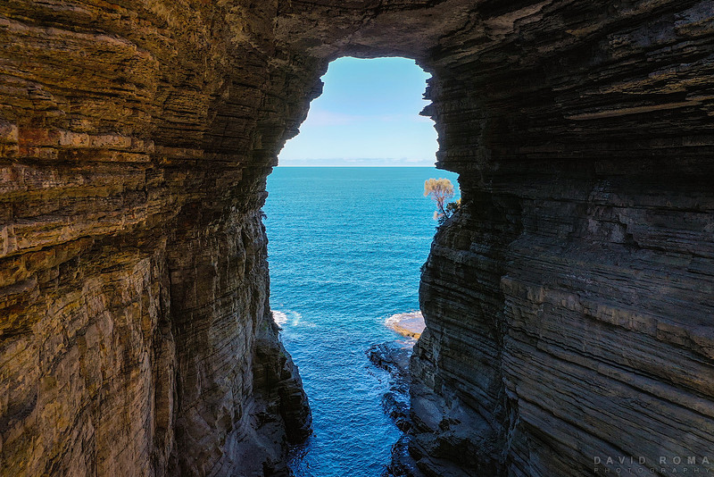 Tasman Arch