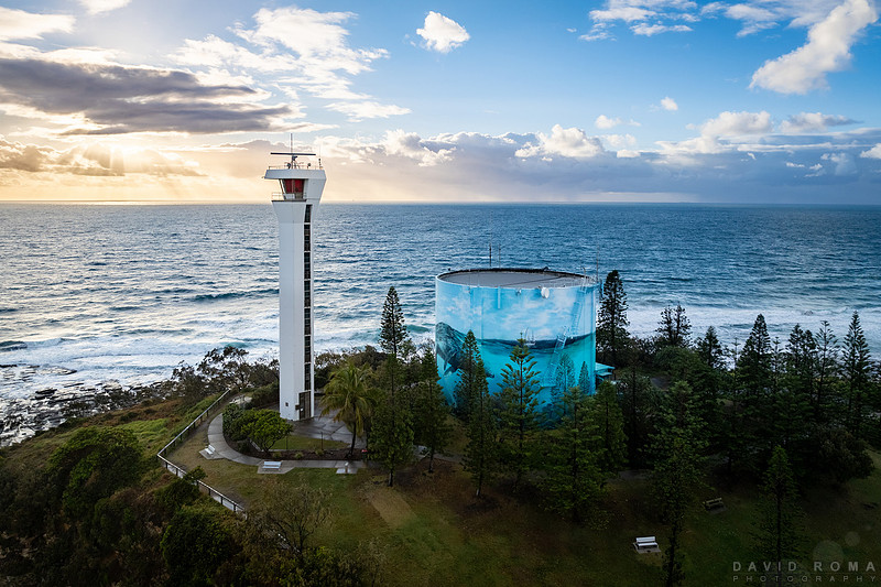 David Roma Photography | Sunshine Coast Queensland Australia