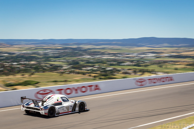Radical SR8