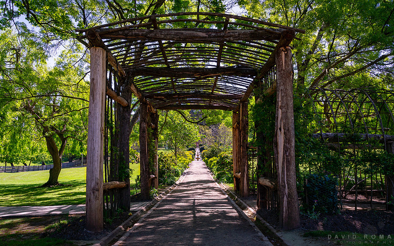 Fountain Path